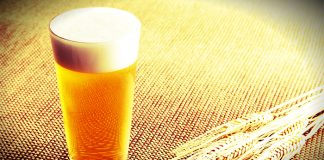 Beber cerveja pode resguardar o cérebro contra demência e fortalece o sistema imunológico.