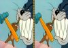 Desafio viral: Você consegue encontrar a diferença nessa foto de “Tom e Jerry”?
