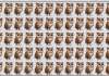 Você consegue encontrar uma coruja diferente das outras na foto?