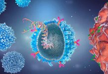 Estudo revela interações entre câncer e células imunológicas; entenda