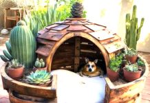 Reaproveite barris velhos em decorações criativas